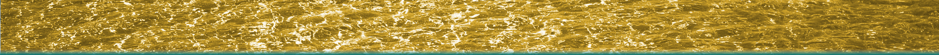 Glykosol N